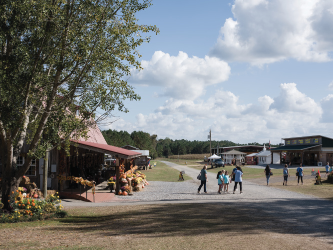 agritourism on Mitchell Farms in Collins, Mississippi