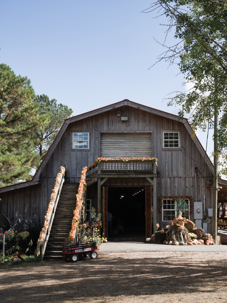 the barn at Mitchell Farms in Collins, Mississippi