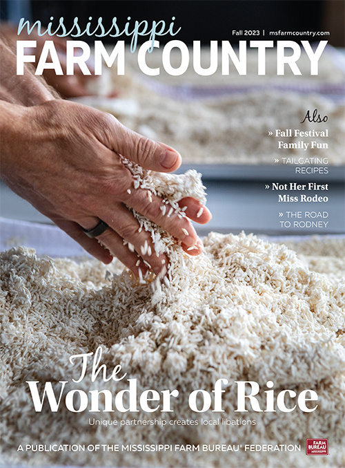 MSFC winter 2023-24 cover; hands in rice