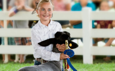 A young girl holding a blue ribbon and a baby cow in a fair