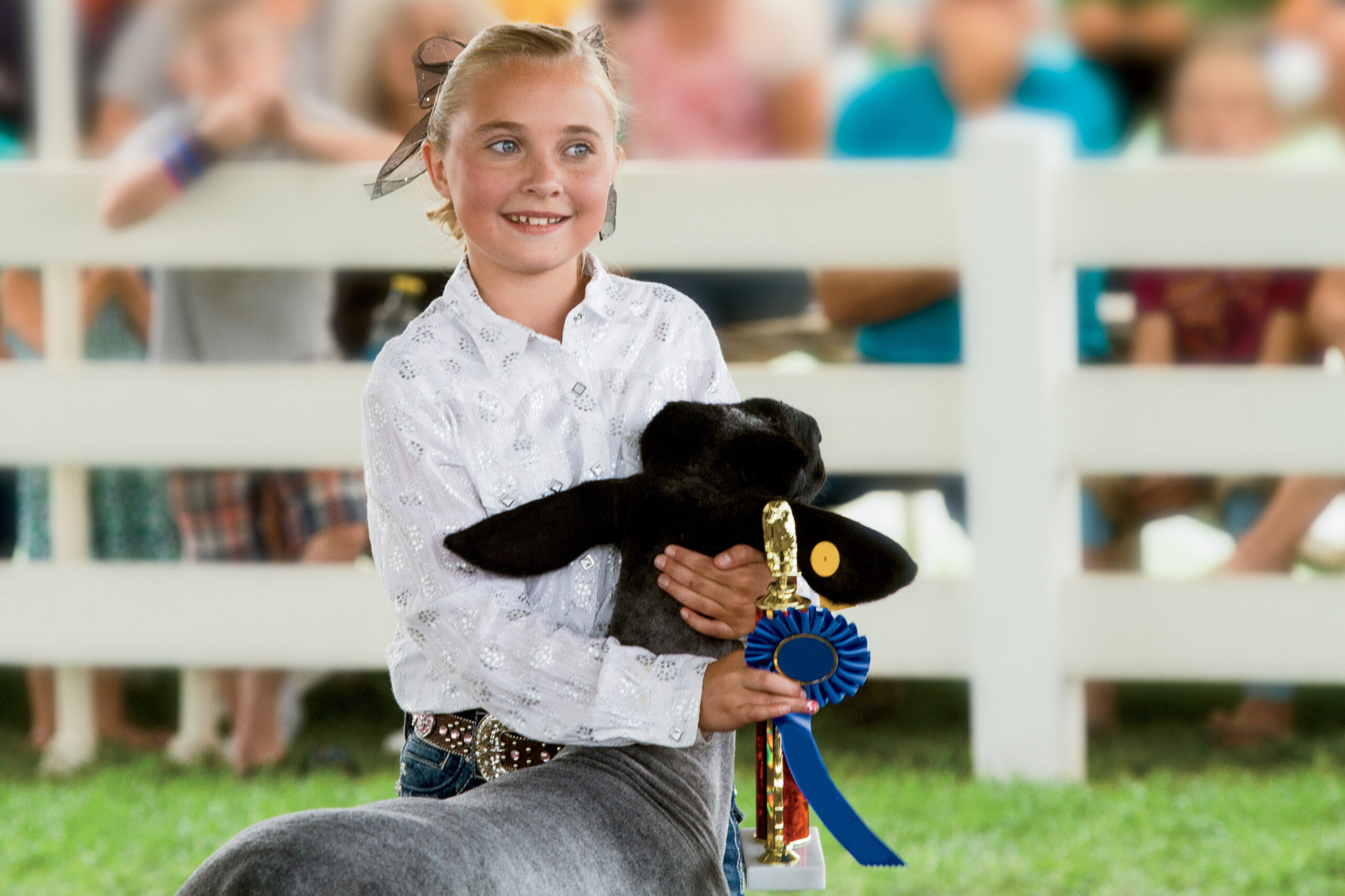 Child showing a lamb at a 4-H show during the County Fair.