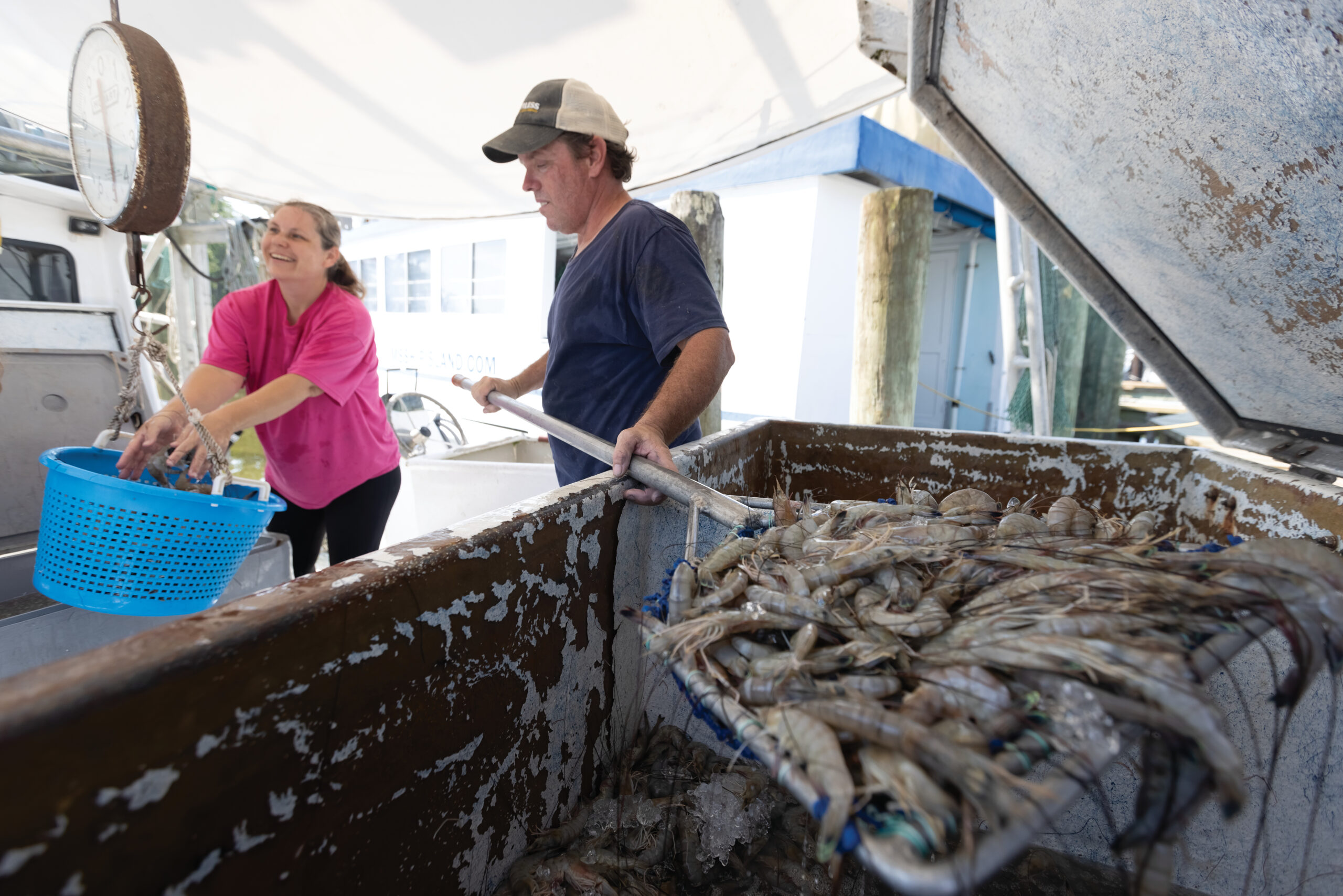 Franklin Parker of Fair Maiden Seafoods shovels freshly caught shrimp between coolers while his wife Becky weighs them while preparing orders for customers on the family boat in Ocean Springs, Mississippi.